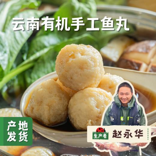 云南有机手工鱼丸 （内含黄辣丁优惠套餐） | 合作农友生产，来自云南弥勒雨补水库，生产者：赵永华 *【公平贸易农人定价】 商品图0