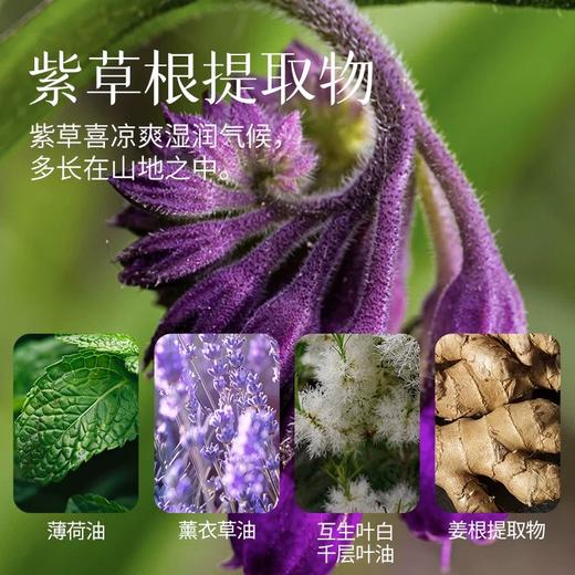 紫草膏 10g  草本护肤 商品图2