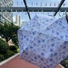 日本WPC遮阳伞*花儿朵朵超轻折叠防晒遮阳伞防紫外线太阳伞晴雨伞男女雨伞 商品缩略图10