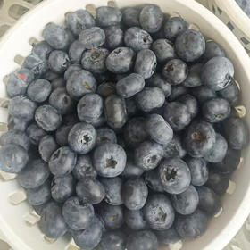 蓝莓二级果篮装（1.2kg）