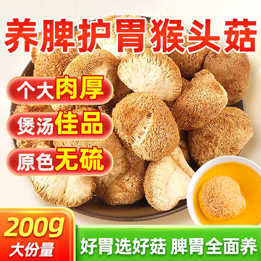 【猴头菇】云南高山美味，炖鸡汤香浓入味，牙口不好也能轻松吃 商品图0