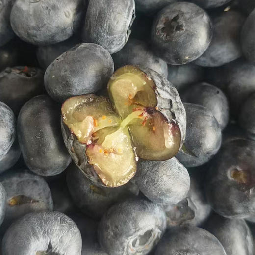 蓝莓二级果篮装（1.2kg） 商品图1