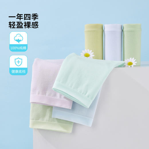 雅黛俪内裤女生纯棉夏季中腰无痕2025新款女士三角短裤头 商品图2