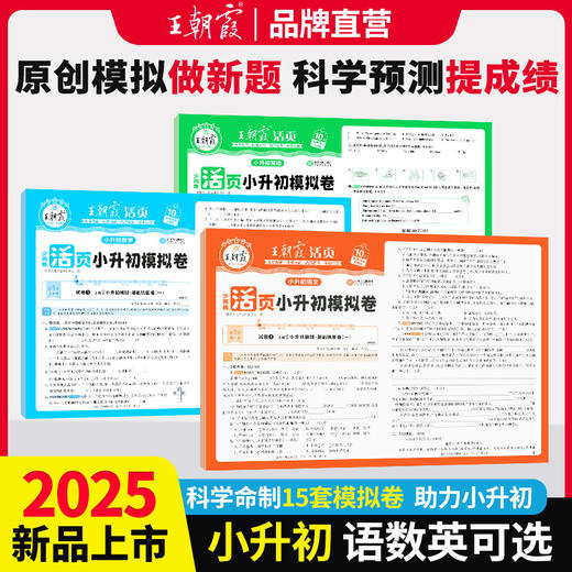 2025王朝霞活页小升初模拟卷语数英毕业复习模拟试卷综合能力验收卷小专项总复习 商品图0