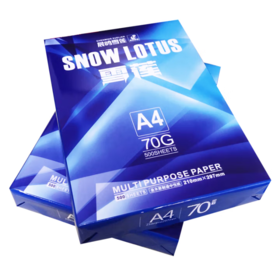 DQ晨鸣雪莲A4打印纸（8包4000张）*10