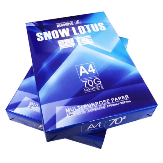 DQ晨鸣雪莲A4打印纸（8包4000张）*10 商品图0