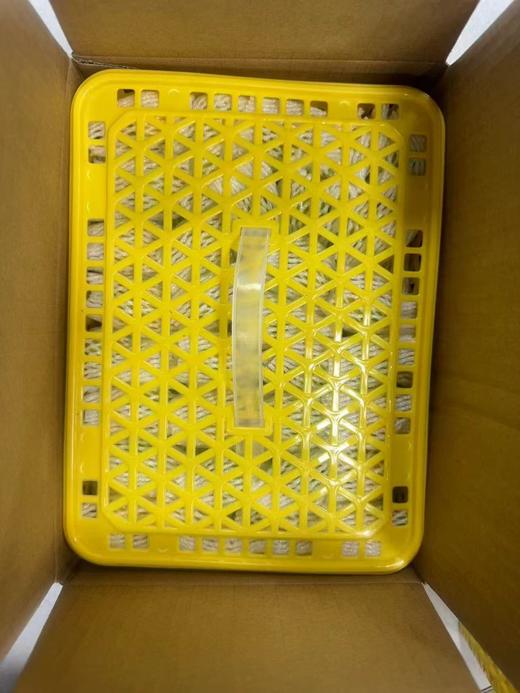 果然杏福新疆小白杏 商品图5