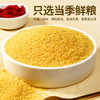 【武汉-蔡甸】优道有机黄小米750g/750g*2 商品缩略图3