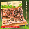 【青葫芦】法布尔昆虫记：立体书（点读版） 商品缩略图4