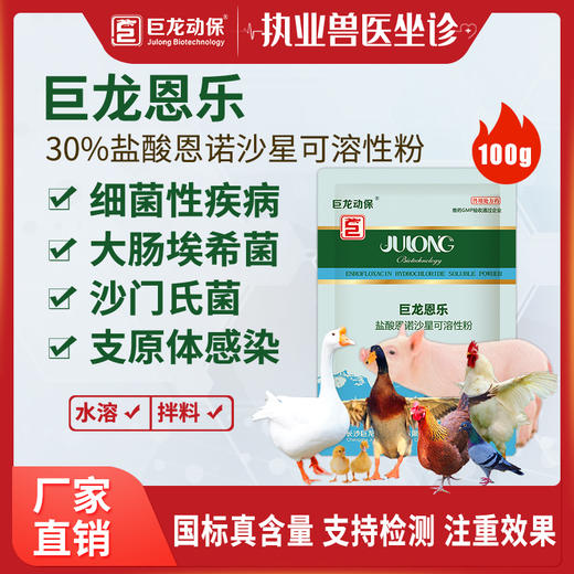 【巨龙恩乐】30%盐酸恩诺沙星可溶性粉畜禽猪鸡鸭鹅用100g/袋 商品图0