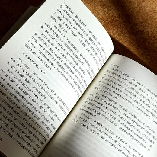 学习型教师 学习力的修炼与超越 大夏书系 特级教师刘祥力作 商品图11