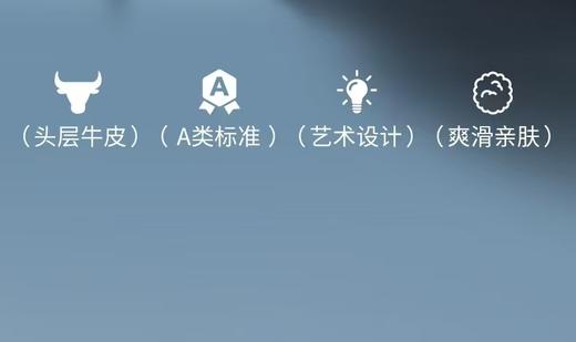 【6楼】富安娜意大利进口单张牛皮软席\卡莉安 商品图2