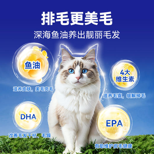 【MAG鱼油化毛球片】植物鱼油化毛球片去毛球助消化添加鱼油微量元素 商品图3