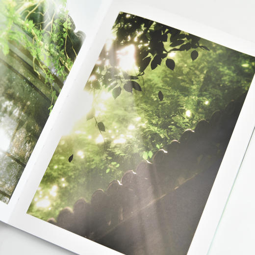 四时风物 岁时丹青录 青山折柳画集画册绘画灵感参考书临摹本 光影表达古典意境刻画 四季主题插画 商品图4