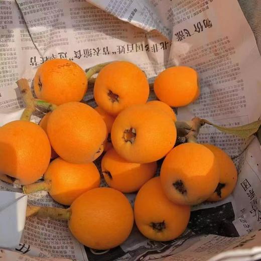 龙泉老树枇杷-树龄50-70年-京东冷链发货 包装随机 【水果】-ZY 商品图2