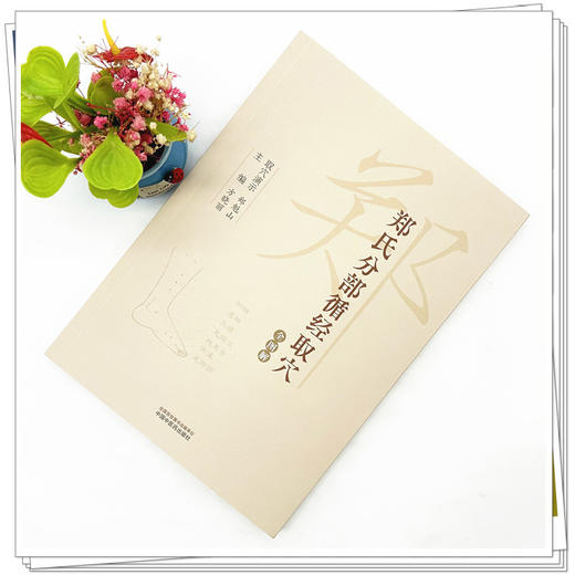 郑氏分部循经取穴全图解（附赠传统针灸取穴法视频） 方晓丽 主编 中国中医药出版社 针灸学经络腧穴学循经取穴书籍 商品图1