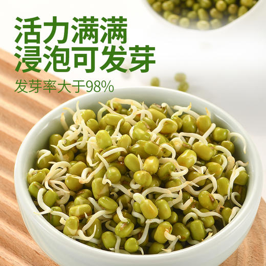 【武汉-蔡甸】优道有机绿豆750g/750g*2 商品图2