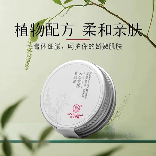 紫草膏 10g  草本护肤 商品图1