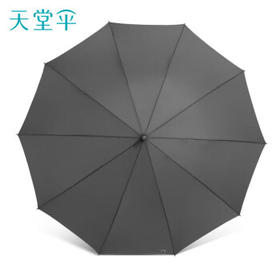 天堂伞 抗风双人雨伞长柄 10骨超大号半自动直杆晴雨两用伞商务伞天际灰
