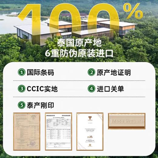 【泰国原装整芯进口】SleepHero红色礼盒高低透气枕 94%天然乳胶含量 55D密度升级护颈 高低波浪支撑 节日可送父母/朋友 商品图3