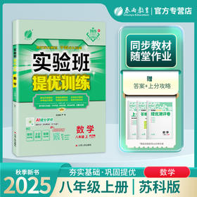 2025年秋 【苏科版】八年级上册（江苏专用）初中数学 实验班提优训练