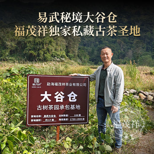 【2025年春茶】【大师系列-大谷仓】福茂祥独家茶园 博物馆级认证藏品 2025年春茶云南易武茶区大谷仓普洱茶生茶古树茶饼357g 商品图1