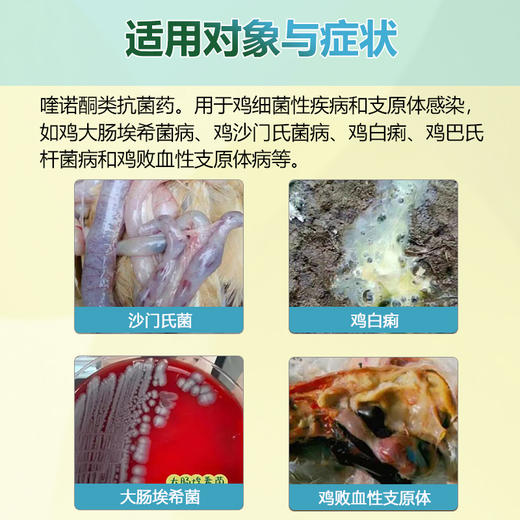 【巨龙恩乐】30%盐酸恩诺沙星可溶性粉畜禽猪鸡鸭鹅用100g/袋 商品图5