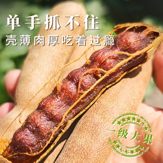 云南特产甜酸角200g/袋 皮薄肉厚 酸甜开胃 商品图3