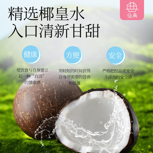 【现货现发】仙典 椰皇水炖桃胶羹 夏季清凉 甜品甜饮 送人佳品 礼盒送人 美味健康 配料干净 商品图2