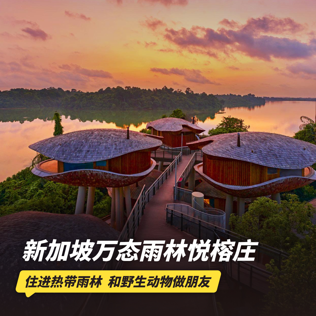 4天3晚【新加坡万态雨林悦榕庄 | Mandai Rainforest Resort by Banyan Tree | 实时代订】位于万态野生动物世界，步行直达新加坡四大动物园！