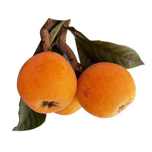 龙泉老树枇杷-树龄50-70年-京东冷链发货 包装随机 【水果】-ZY 商品图4