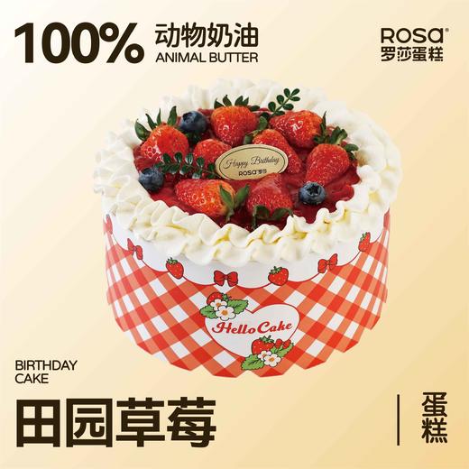 田园草莓 商品图0