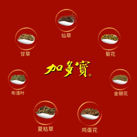加多宝凉茶饮料310ml/罐 商品图2