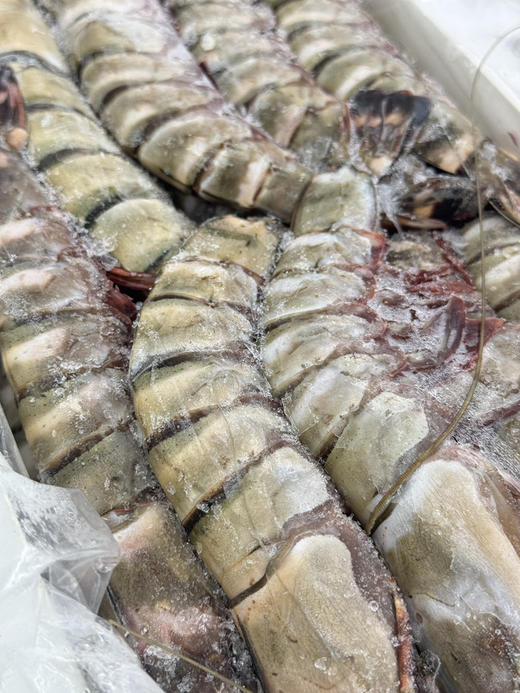 进口野生黑虎虾110一斤/4.3斤 商品图0