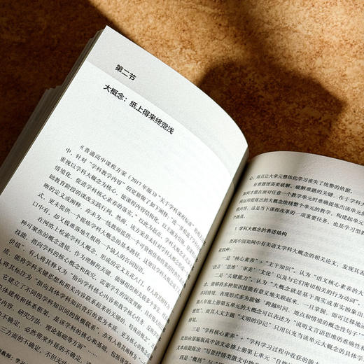 学习型教师 学习力的修炼与超越 大夏书系 特级教师刘祥力作 商品图13