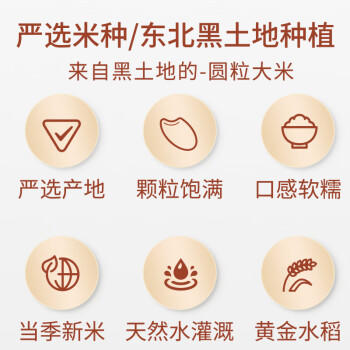 七河源雪晶米20斤 东北大米10kg 2024年新米 一级粳米中秋福利 公司团购 /粮油调味 /米 /珍珠米 商品图6