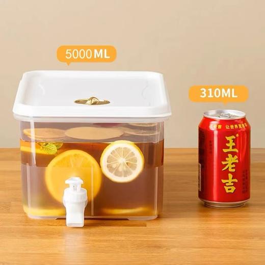 「大容量5L装」冷饮大容量水果茶冰镇凉水桶冰箱冷水壶带龙头野餐露营冷水壶餐饮用具 商品图3