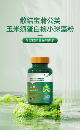 散节宝蒲公英玉米须蛋白核小球藻