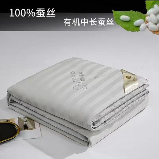 夏日100%蚕丝被（200*230） 商品图0