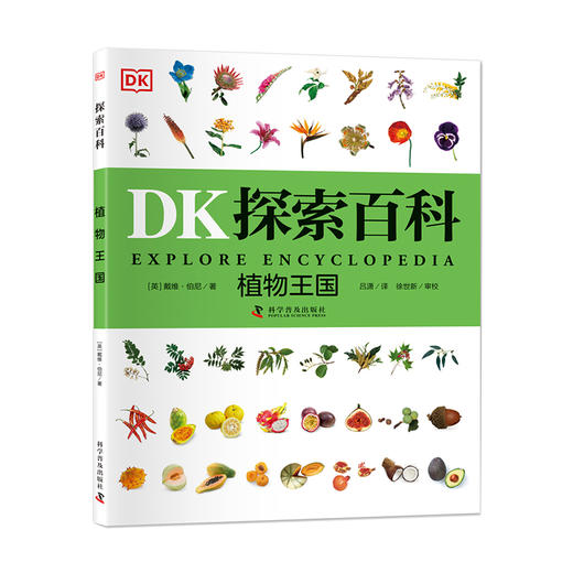 DK探索百科——植物王国  寒假阅读寒假课外书课外寒假自主阅读假期读物 商品图0