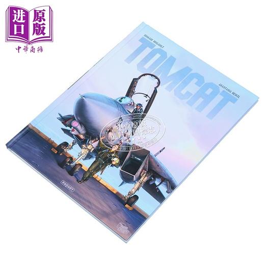 【中商原版】【法文版】法漫 F14雄猫战斗机 Romain HUGAULT TOMCAT 法文原版 Romain Hugault 漫画 商品图1