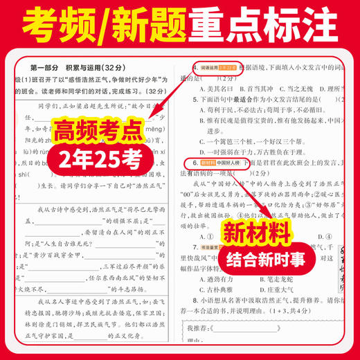 2025王朝霞活页小升初模拟卷语数英毕业复习模拟试卷综合能力验收卷小专项总复习 商品图3