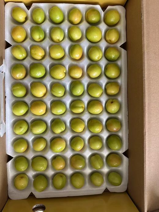 果然杏福新疆小白杏 商品图2