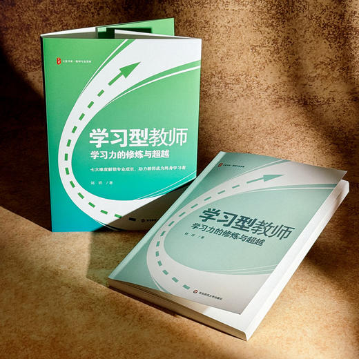 学习型教师 学习力的修炼与超越 大夏书系 特级教师刘祥力作 商品图4