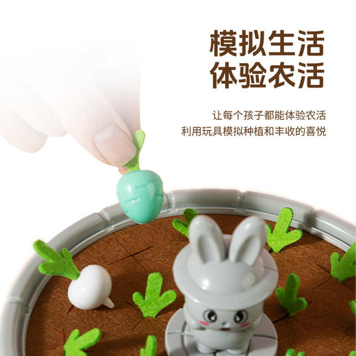 【19.9秒杀❗益智拔萝卜】锻炼小手抓握记忆能力，多样玩法，识色辩形，益智，认知，男女趣味桌面游戏教具婴儿蒙氏精细化锻炼QQ 商品图3