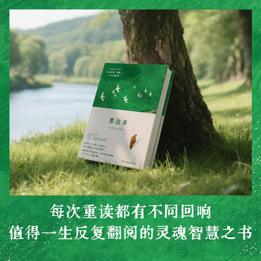 《悉达多》如果你正在寻找人生的意义，那么《悉达多》正在寻找你 商品图2