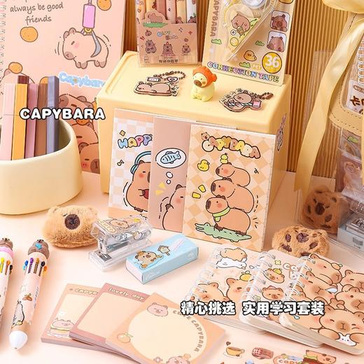 【卡皮巴拉❗文具大礼包】一站式搭配样样齐全，精心搭配贴心相伴，学生手账毕业文具礼包儿童生日礼物伴手礼品六一QQ 商品图3