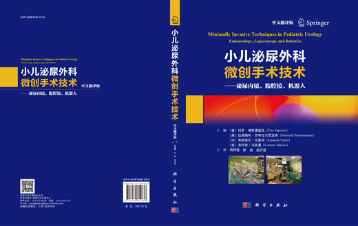 《小儿泌尿外科微创手术技术》 商品图2