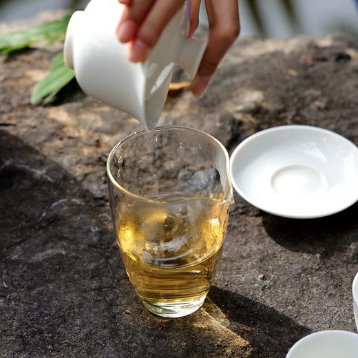 「老白鱼·2024」古树普洱白茶，清雅甜润有活性（250克） 商品图3