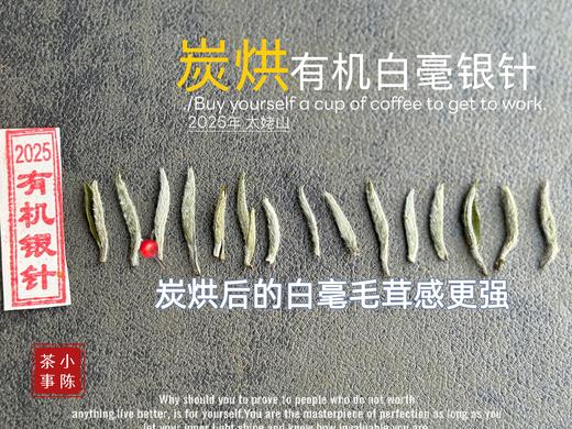 【新茶上市】2025炭烘有机白毫银针，浓郁至极的毫香，顶级白茶的标配！（50克罐装） 商品图4